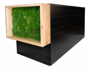 Moosvitrine 'Ratio' – Bild 1
